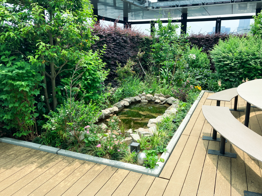 Biotope